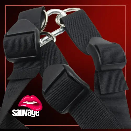 נדנדת מין ארוטיים לזוגות